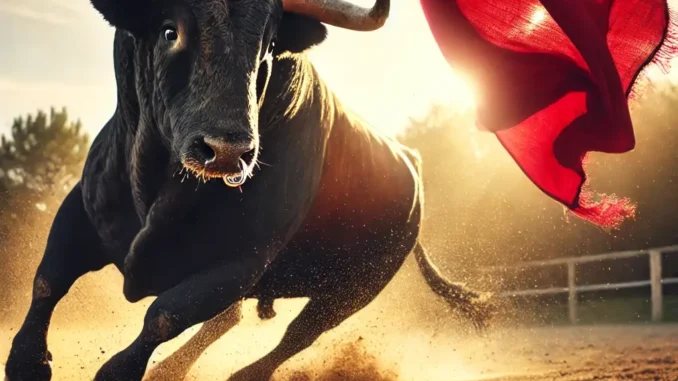 Boğalar Neden Kırmızı Renk Görünce Öfkelenir